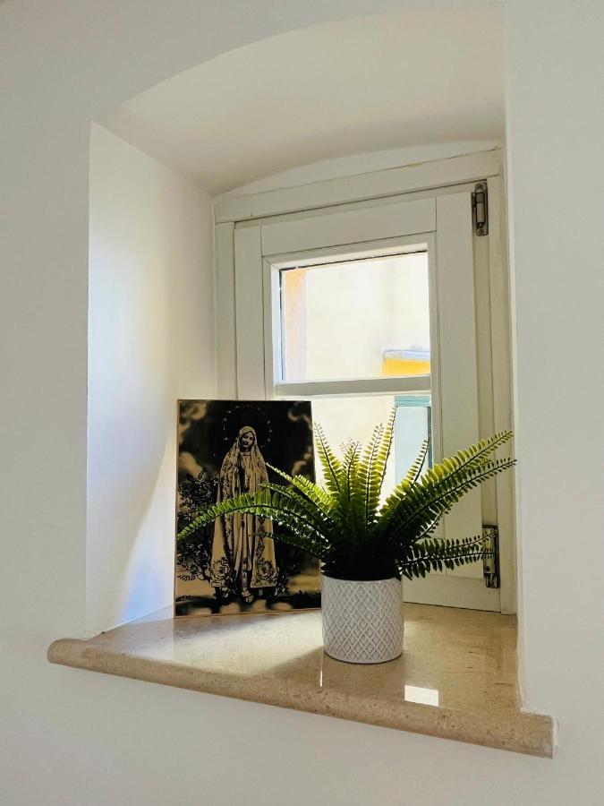 Casa Fonti Unita Apartment Trieste Bagian luar foto